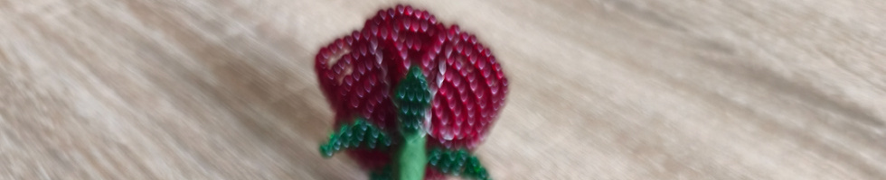 Banner profilu