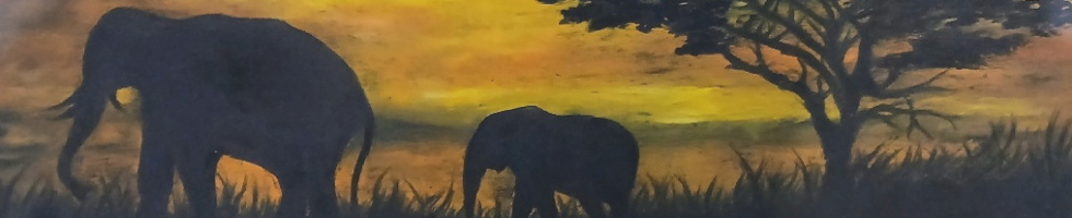 Banner profilu