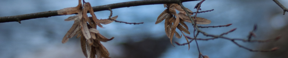 Banner profilu