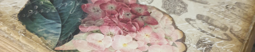 Banner profilu