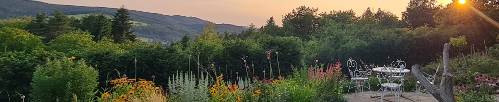 Banner profilu