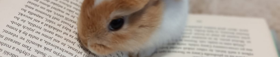 Banner profilu