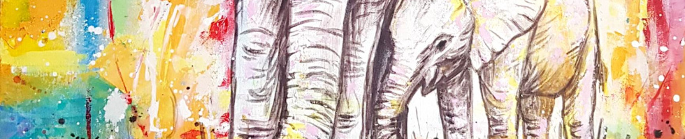 Banner profilu