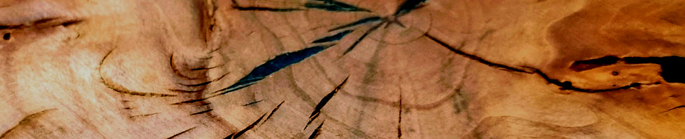 Banner profilu