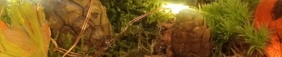 Banner profilu