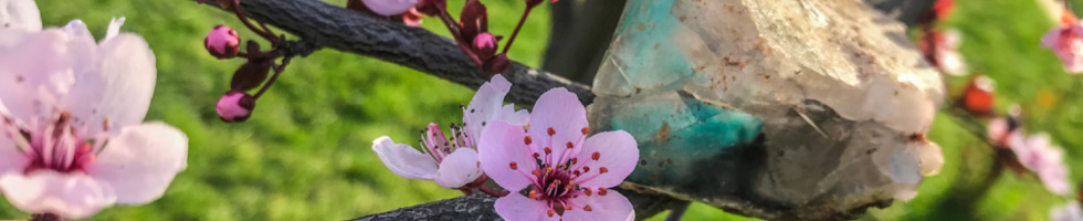 Banner profilu