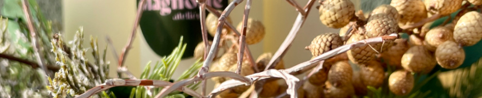 Banner profilu