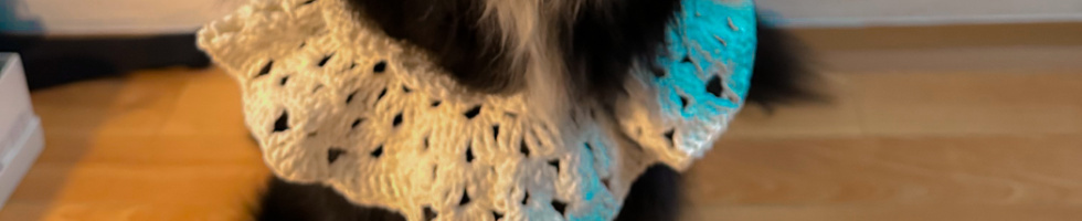 Banner profilu