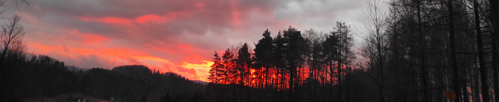 Banner profilu