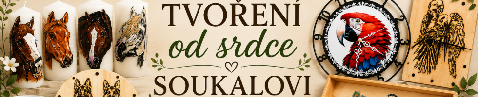 Banner profilu