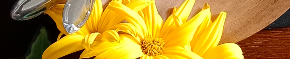 Banner profilu