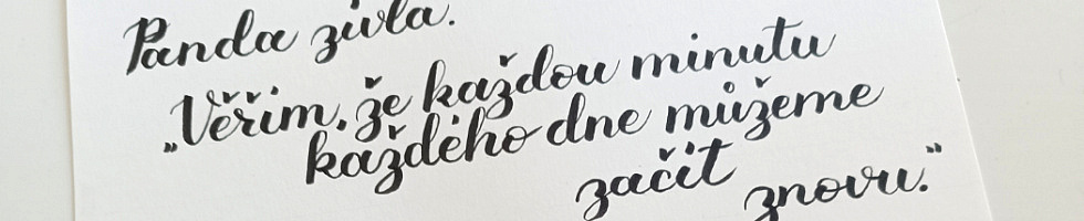 Banner profilu