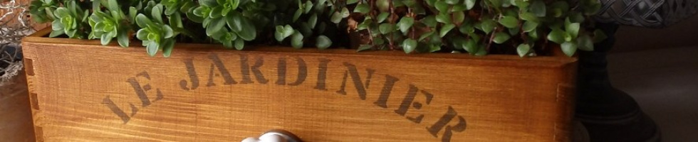 Banner profilu