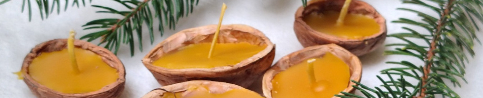 Banner profilu