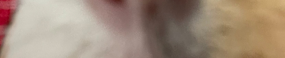 Banner profilu