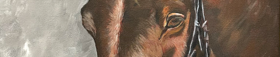 Banner profilu