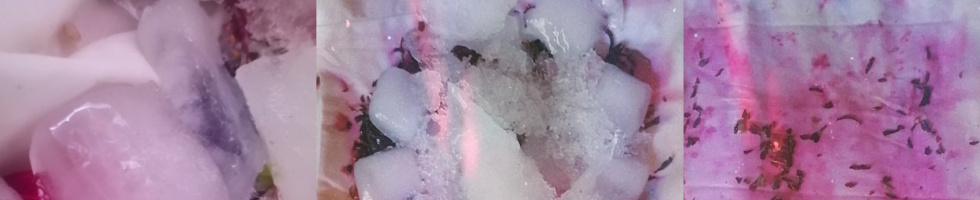 Banner profilu
