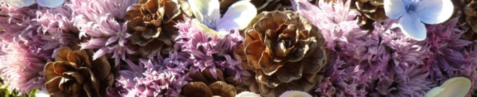 Banner profilu