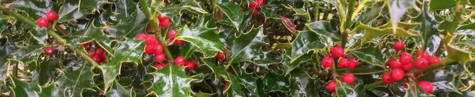 Banner profilu