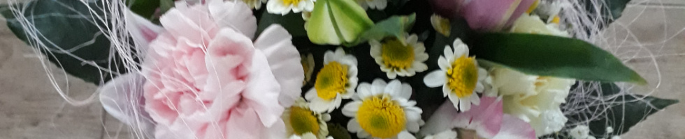 Banner profilu