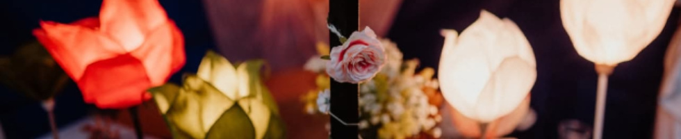 Banner profilu
