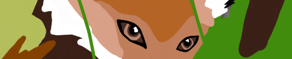 Banner profilu