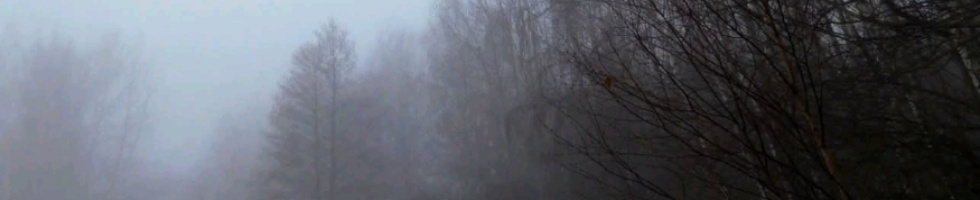 Banner profilu