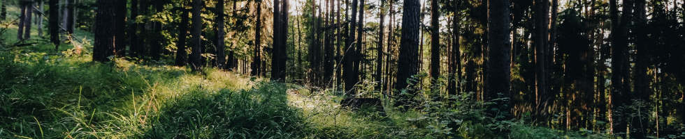 Banner profilu