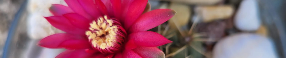 Banner profilu