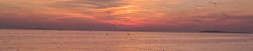 Banner profilu