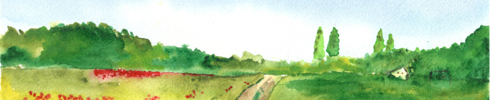 Banner profilu