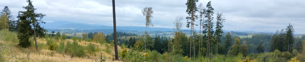 Banner profilu