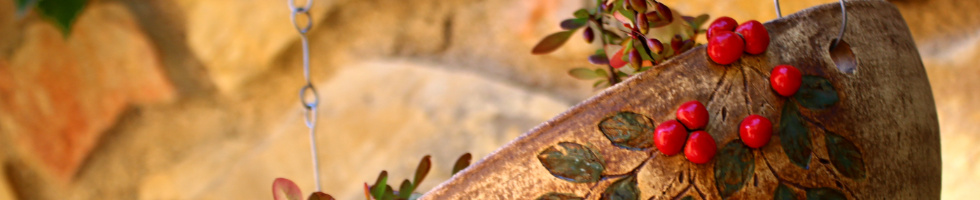 Banner profilu
