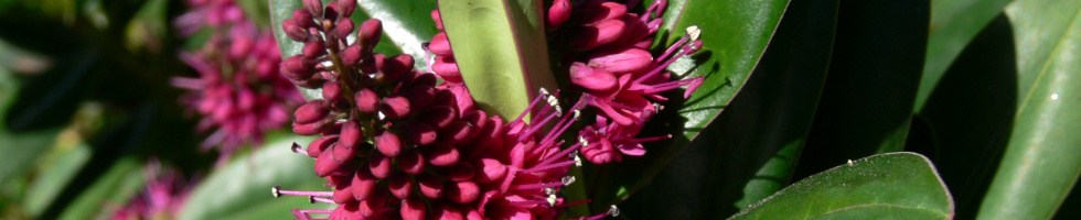 Banner profilu