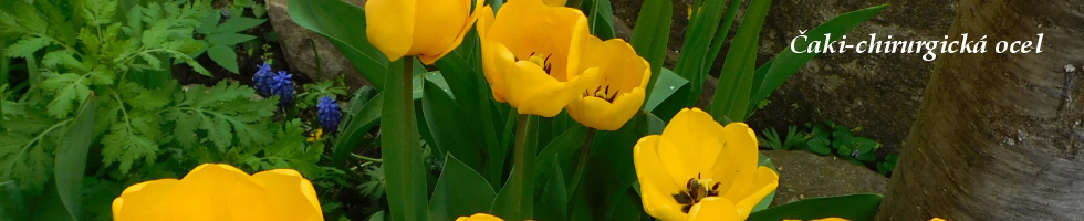 Banner profilu