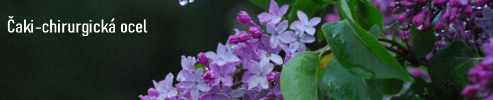 Banner profilu