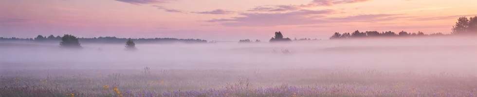 Banner profilu
