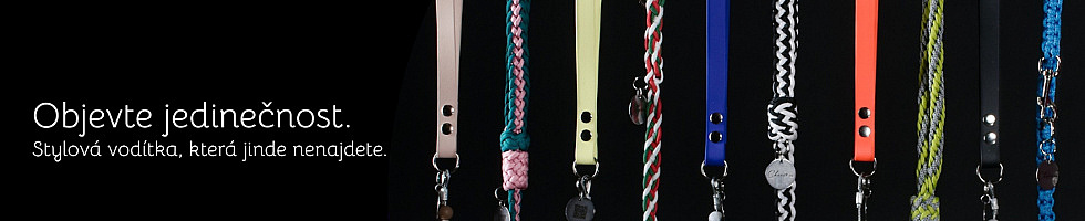 Banner profilu