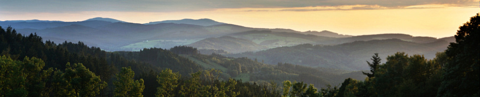 Banner profilu