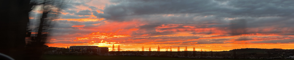 Banner profilu