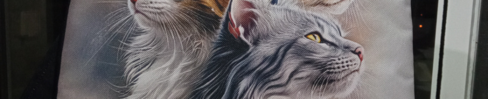 Banner profilu