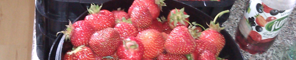 Banner profilu