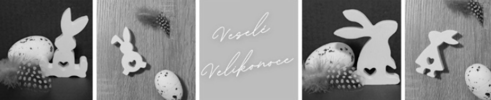 Banner profilu