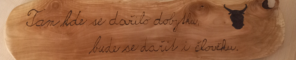 Banner profilu