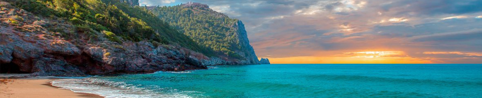 Banner profilu