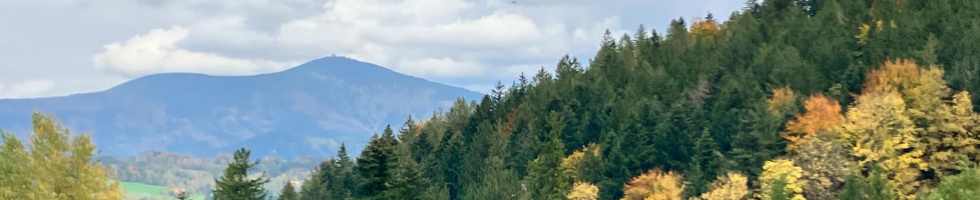 Banner profilu