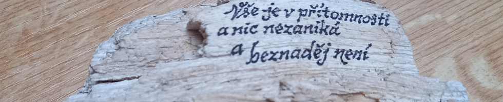 Banner profilu