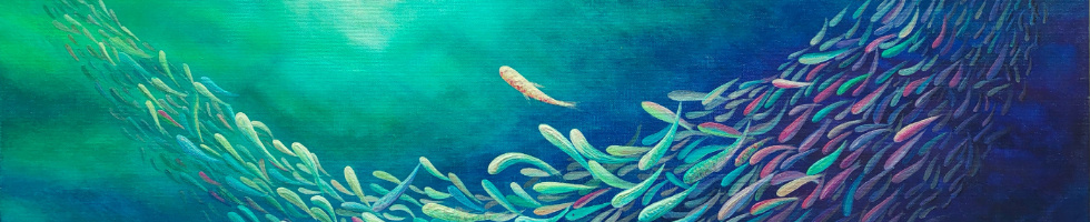 Banner profilu