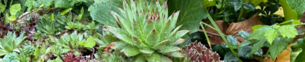 Banner profilu