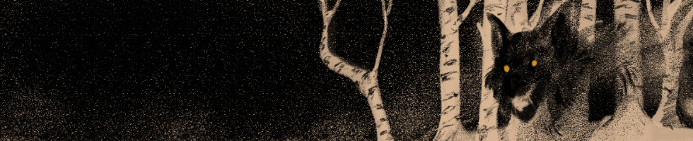 Banner profilu